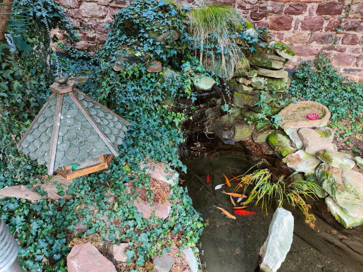 Gite De La Fontaine Wangen Esterno foto