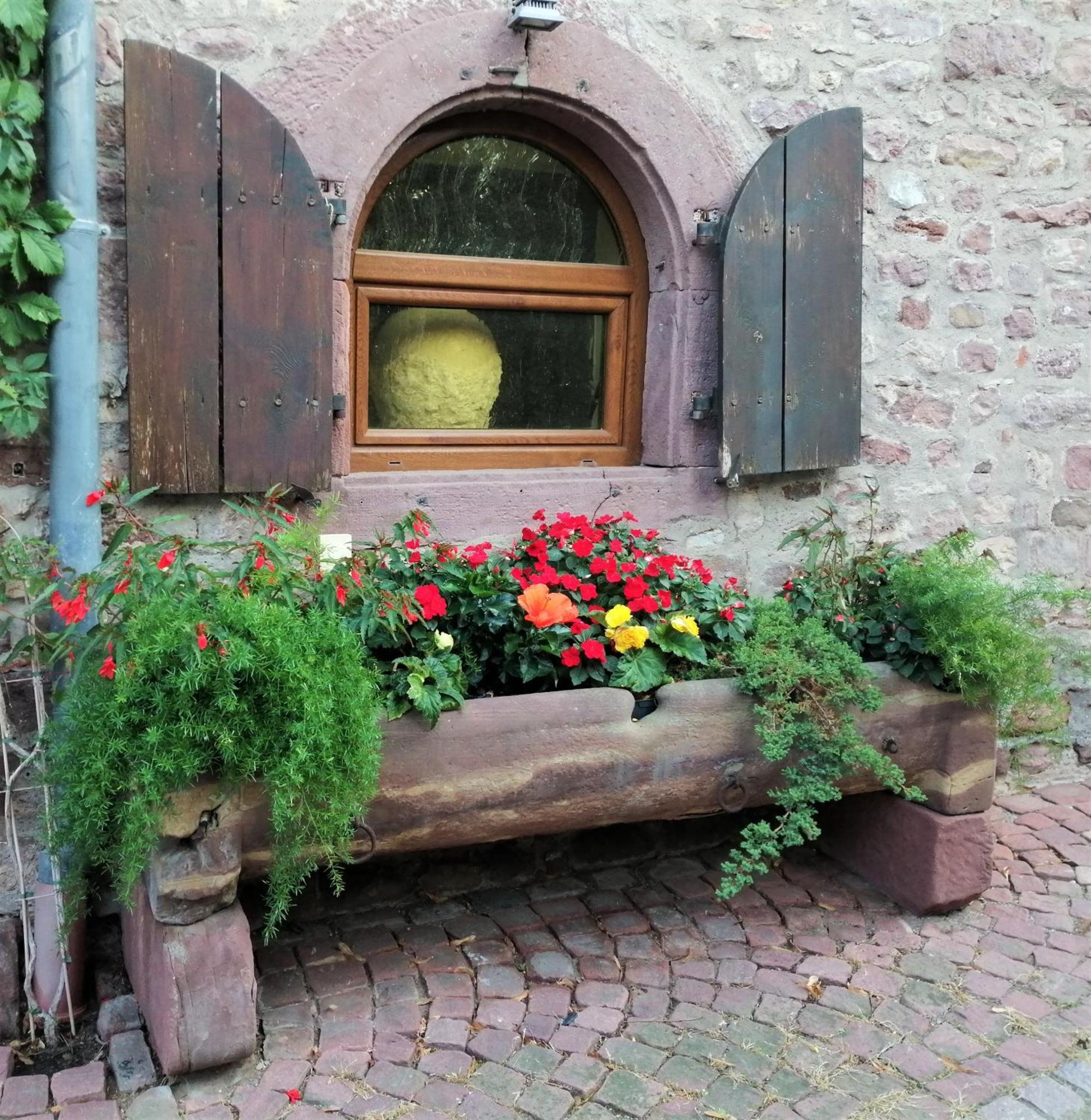 Gite De La Fontaine Wangen Esterno foto