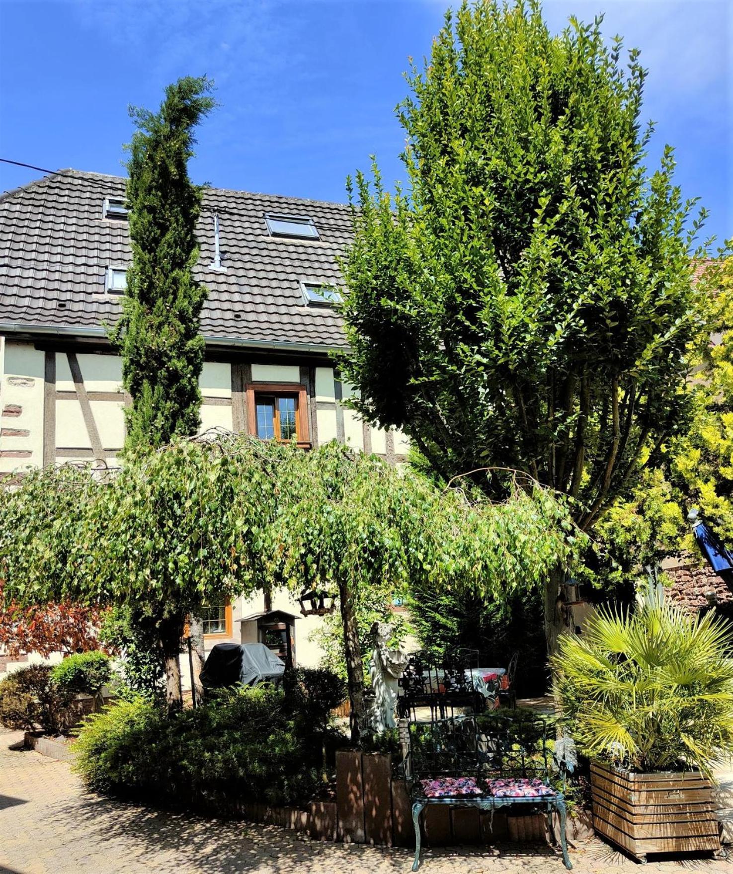 Gite De La Fontaine Wangen Esterno foto