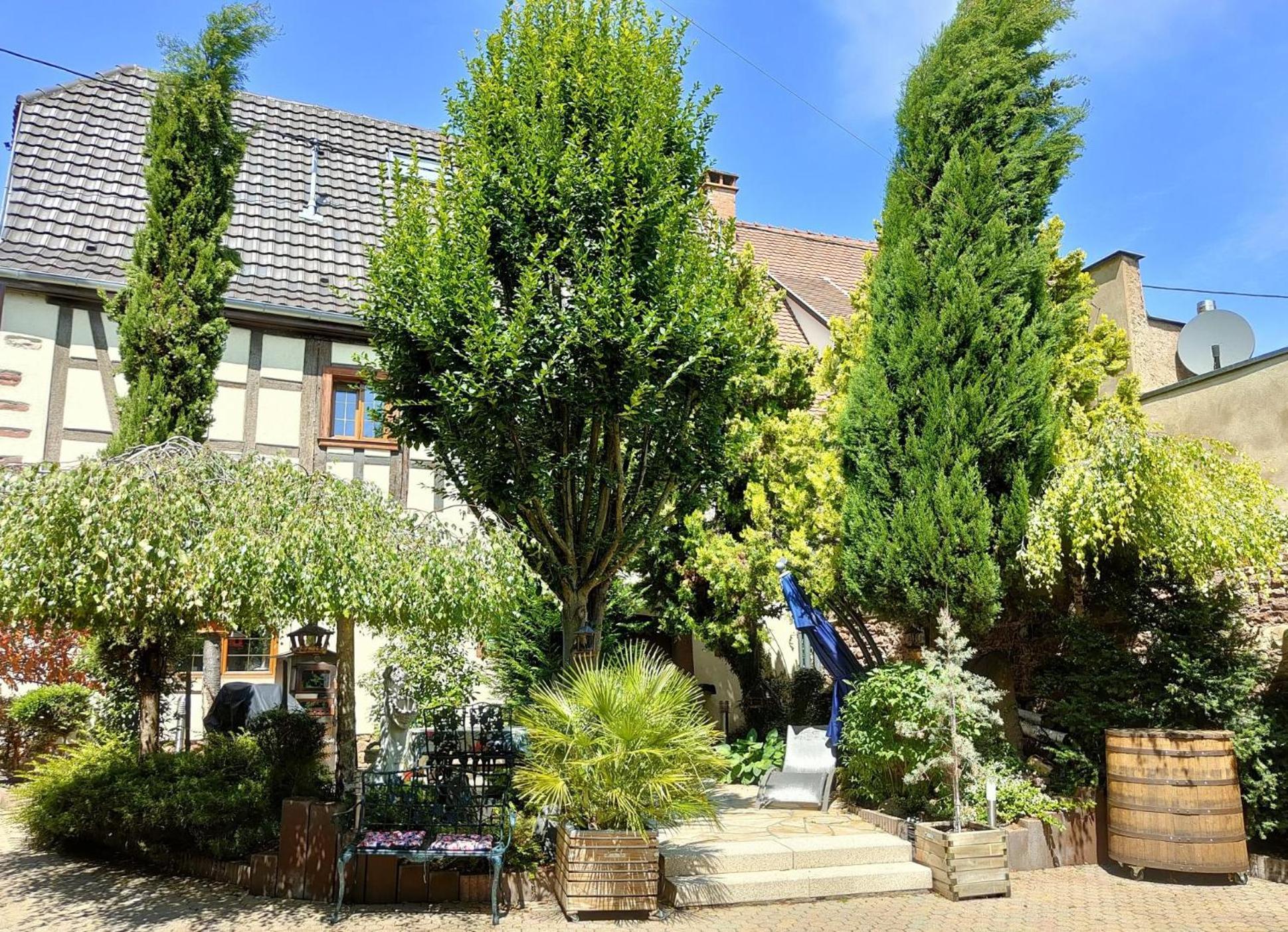 Gite De La Fontaine Wangen Esterno foto